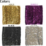 2WAY sequin skirt & tube top